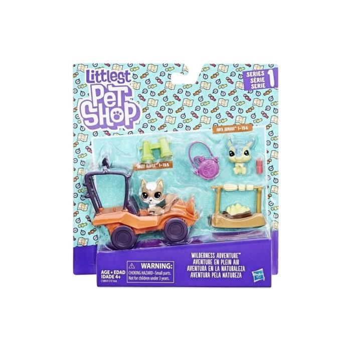 Coffret Pet Shop La Voiture 2 Figurines Petshops Renard Rowdy Redfox Tatou Anya Armado Accessoires