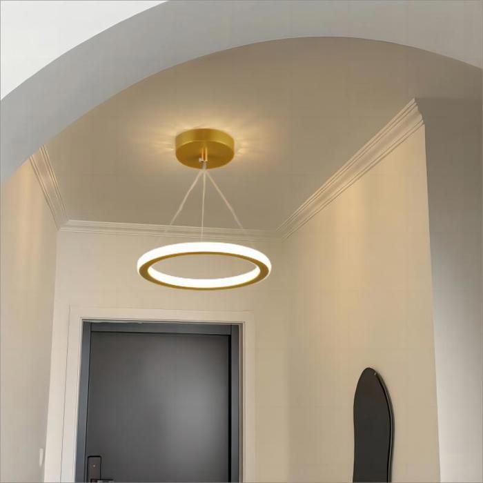 WOTTES LED Plafonnier Moderne Rond - Lampe de plafond Lustre en Acrylique Doré pour Salon Couloir - Blanc Froid - 1pcs Ø20*20CM