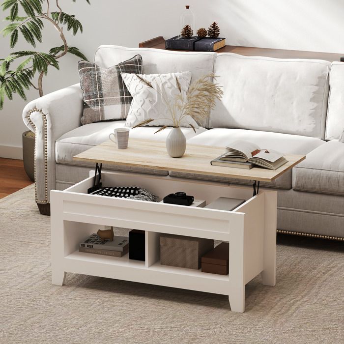 MOTHINESSTO4750-Table basse plateau relevable table de salon avec étagères et compartiment caché 105 x 50 x 49-62 5 cm blanc