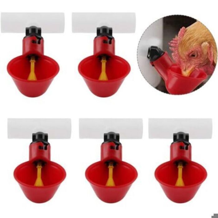 Abreuvoir automatique 25 mm – 5 tasses facile à installer pour poules cailles et pigeons