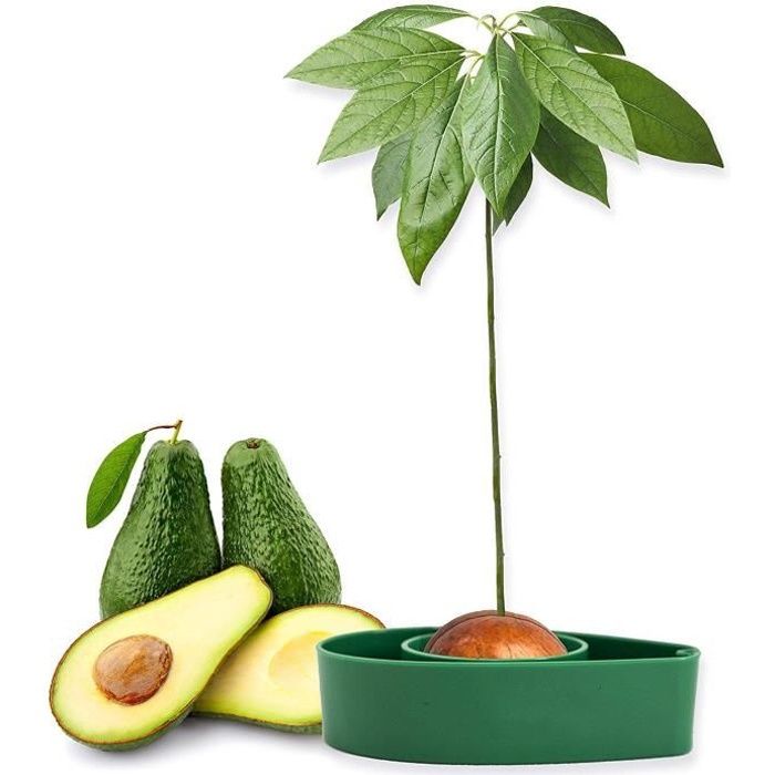 Faire Pousser Votre Avocatier Kit Jardinage Et Idee Cadeau Femme Original Coffret Cadeaux Plante Anniversaire Homme Potager Plant Achat Vente Livre Parution Pas Cher Cdiscount