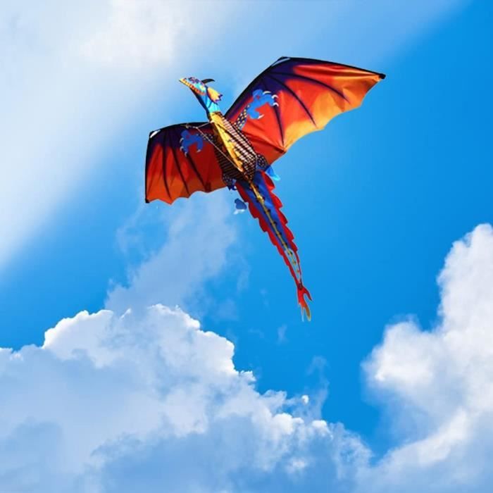 Cerf-volant HQ Kites Jive3 Pour Adultes - Modèle De Tricks 196x82 Cm Pour Vents Légers
