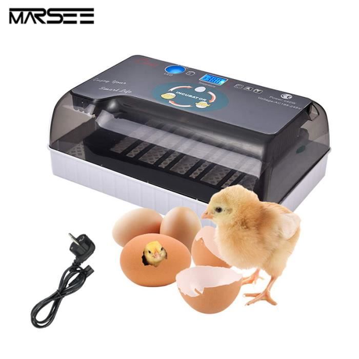 INCUBATEUR D'ŒUFS, INCUBATEUR de 12 œUfs avec Rotation Automatique des