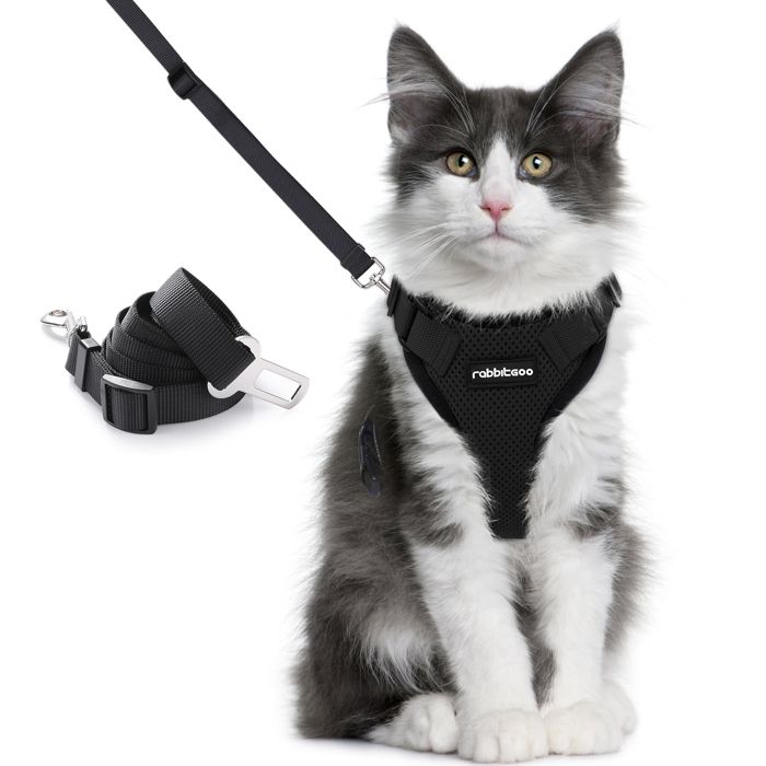 Meilleurs prix pour Rabbitgoo Harnais Chat Harnais pour Chat Laisse Harnais Chat Noir S Réglable Respirant avec Laisse à double usage pour voiture