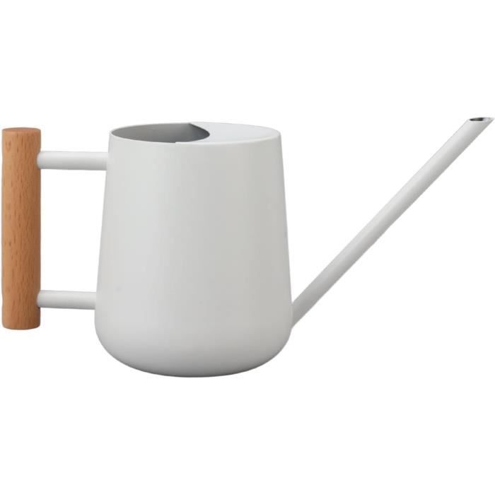 Arrosoir, Arrosoir À Long Bec En Métal Pour Intérieur Et Jardin, Arrosoir À Plantes Pour