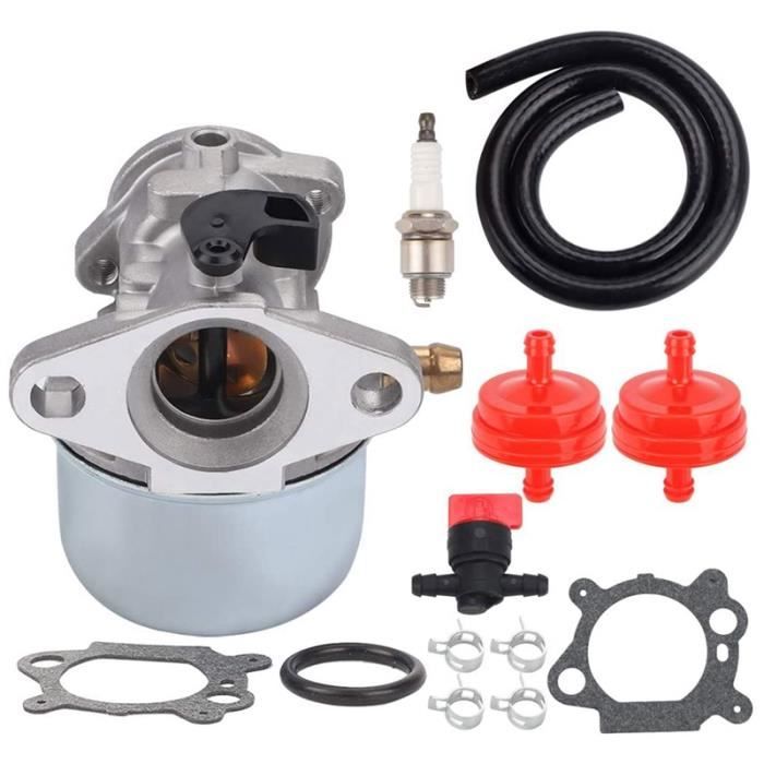 Carburateur Pour Moteurs Briggs & Stratton Quantum - Remplacent 494216, 494217, 498965, 698056