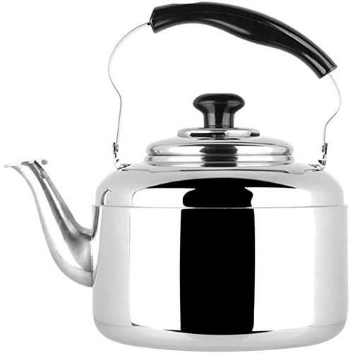Bouilloire Théière en Acier Inoxydable avec Filtre Grande Capacité (1L