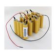 Kit batterie 48V pour secateur F3010 Electrocoup Infaco-1