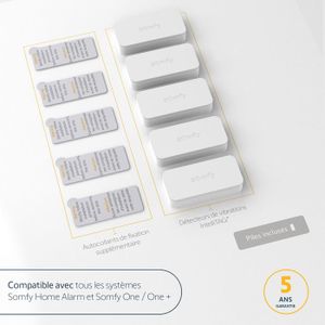 Capteur D'ouverture De Fenêtre Somfy 1875100 En Aluminium, Occasion