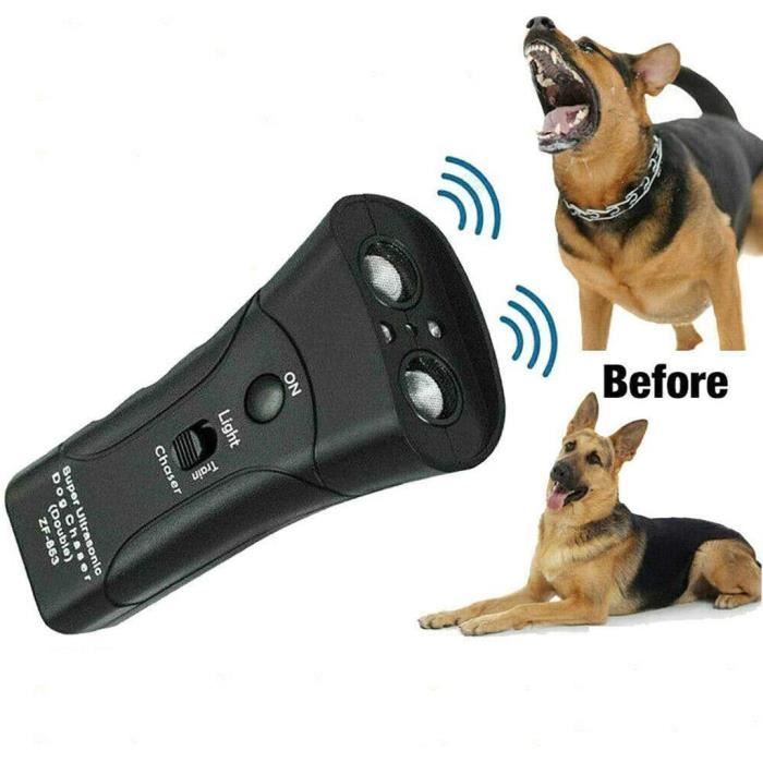 Petgentle 2025