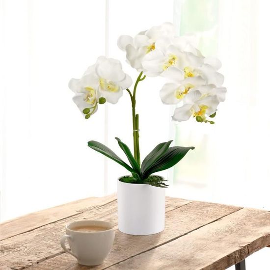 Orchidée artificielle en soie Phalaenopsis Orchidée artificielle Para  Decorar Orquideas Fleurs artificielles pour décoration A16 - Cdiscount  Maison