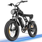 Vélo Électrique Ridstar Q20 Mini - Moteur 1000 W - Batterie 48 V 15 Ah - Gros Pneus 20 x 4,0" - Autonomie 80 km