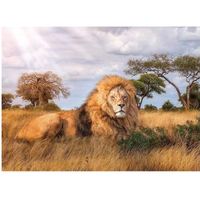 Puzzle Adulte : Le Lion Dans La Savane - 1000 Pieces - Clementoni - Collection Animaux Sauvages