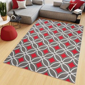Tapis Moderne Rouge/gris 240x340 Cm (approx 11x8 Ft) - Qualité Supérieure - Beckyswashablemats