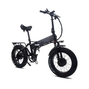 VÉLO ASSISTANCE ÉLEC Vélo électrique Pliable RX20 MAX Vélos à Assistanc
