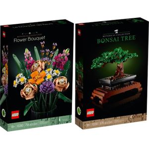 ASSEMBLAGE CONSTRUCTION Lego 1028010281 Creator Expert lot de 2 articles - Bouquet de fleura et arbre Bonsai