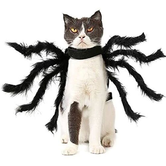 Valink Costume Pour Chat Costume D Araignee D Halloween Pour Animal Domestique Vetements De Cosplay Pour Chien Et Chiot F 651 Cdiscount Valink Costume Pour Chat Costume D Araignee D Halloween Pour Animal Domestique Vetements De Cosplay Pour Chien Et Chiot F 651 Cdiscount