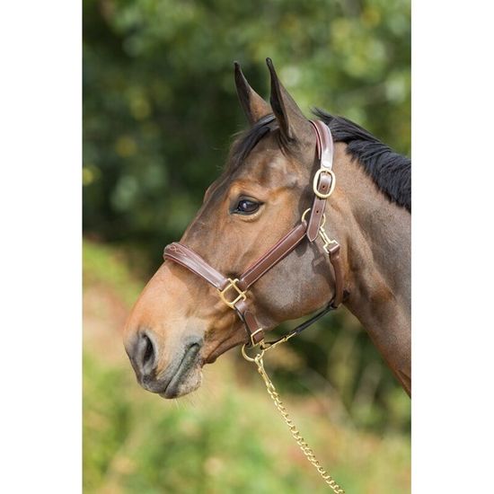 Ensemble Tête Et Collier Western – Cuir – Modèle Bling – Pour Cheval/Poney (SA-2009)