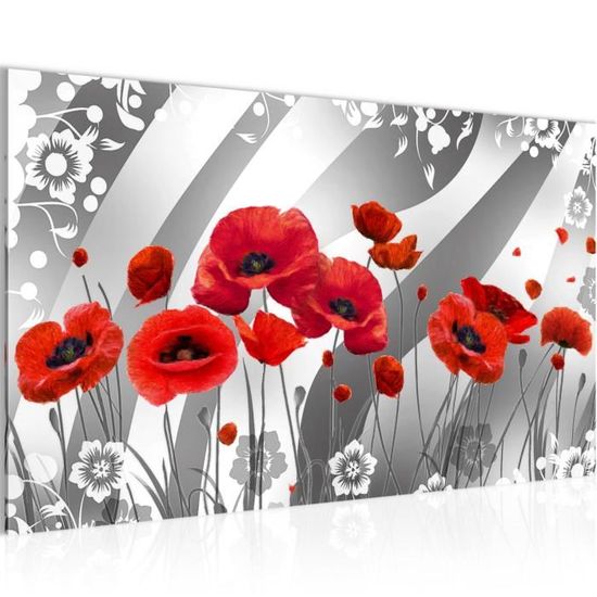 Peintures sur fleurs, coquelicots rouges, peintures : illustration de