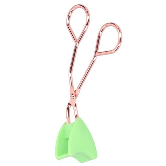Pince Pour Étiquettes D'Oreille Animaux - Pince Tagueuse Avec Goupille De Rechange