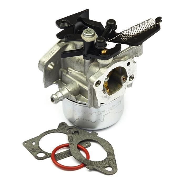 Vergaser Kraftstofffilter Dichtungssatz – Für Briggs & Stratton Motoren, Troy-Bilt