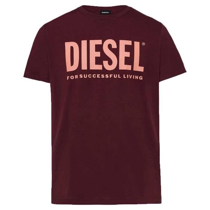 Vêtements Homme T-Shirts Diesel Diego Logo