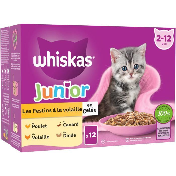 Meilleurs prix pour Nourriture pour chat - TWINBIRD - Junior Repas Chaton - 48 Sachets - Gelée - 4 Saveurs