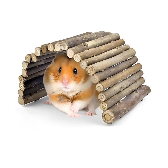 Pont de Hamster Bois - Petite Taille - Rongeurs - Habitat - Convient pour tous modèles QIEDOVIEY