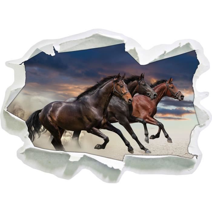 Chambre Salon Nature Animal Z106 Chevaux Sauvages Autocollant Mural 3D Look Chambre Salon Nature Animal Z106 Chevaux Sauvages Autocollant Mural 3D Look