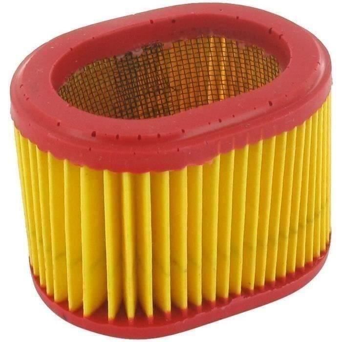 Filtre à air - Briggs & Stratton - Séries 475/525 - L: 72mm, l: 54mm, H: 53mm - Remplace origine: 79