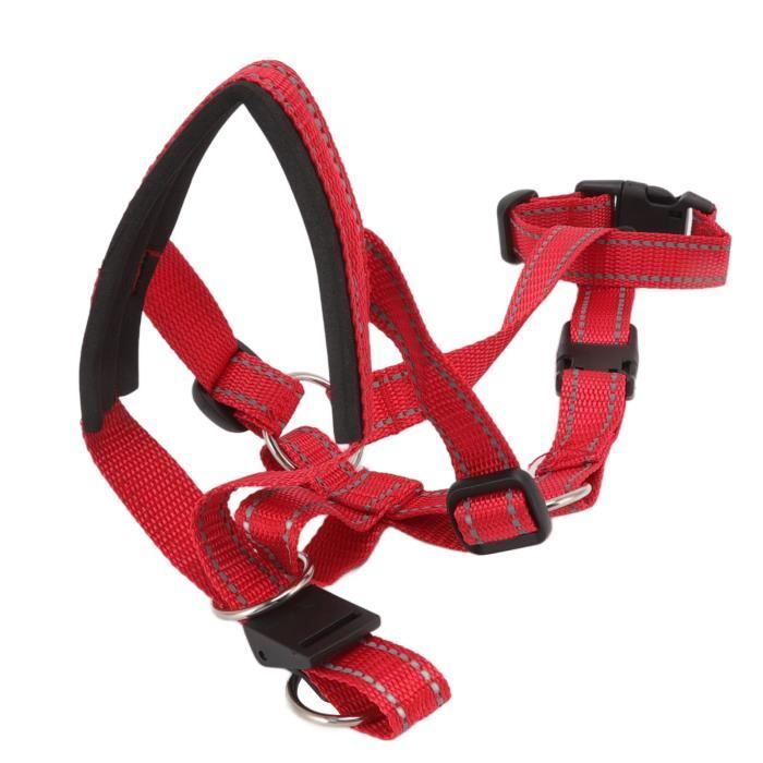 Collier De Tête Greenguard Noir Pour Poney - Taille Poney - NEUF - Shires