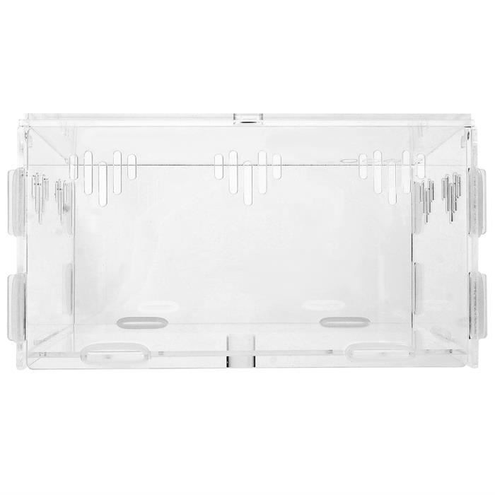 Suzile Enclos De Terrarium En Acrylique Transparent Pour Reptiles Et Araignées - 8,9 X 8,9 X 9,4 Cm
