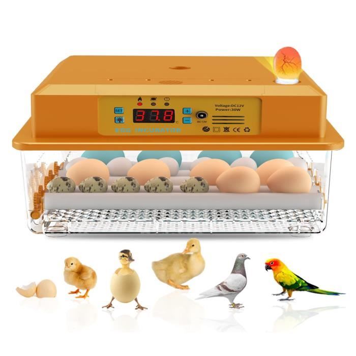 Meilleurs prix pour Incubateur dœuf - Automatique - 16 Oeufs - Contrôle de la Température - Jaune - Intérieur