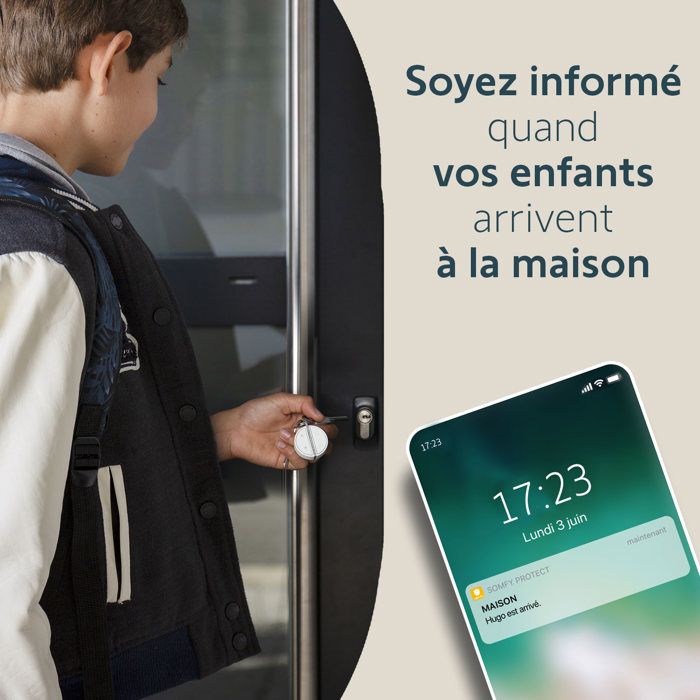 2401489 - Badge De Desactivation Mains Libres Pour Somfy One, One+ Et Gamme Home Alarm - Somfy