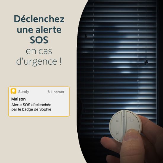Badge De Désactivation Mains Libres Somfy - 2401489 - Neuf
