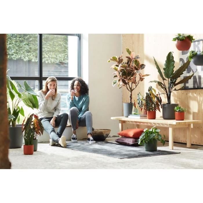Elho Vibia Straight Rond 30 Cm - Pot De Fleurs D'Extérieur Design Moderne Anthracite/Noir - Ø 29,3 X H 28 Cm