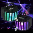 PACK DE 2 EFFETS RGBW LED BUTTERFLY-RC IBIZA PA DJ LED SONO-0