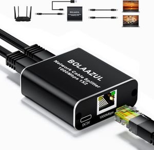 Switch Ethernet 2 Ports Gigabit - Répartiteur RJ45 1 Vers 2, 1000 Mbps - Alimentation USB-C - Pour Routeur, PC, TV, Console