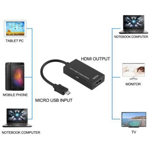 Adaptateur micro HDMI Femelle vers mini HDMI Mâle - Achat/Vente DELOCK 12061