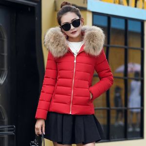 DOUDOUNE Court Doudoune Femme Slim Grande Taille Fourrure Blouson 2017 Hiver Manteau Avec Capuche