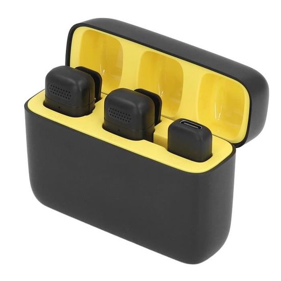 Étui De Transport 3 Microphones Sans Fil – Sac Rangement Solide Pour Karaoké, Chant, Systèmes Jusqu’à 11 Pouces