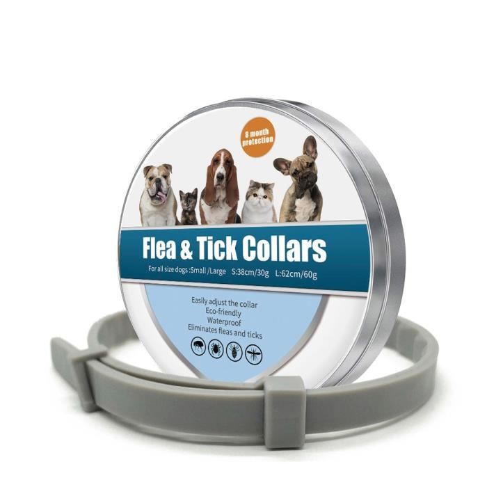Laisses Colliers,Collier pour chien collier anti moustiques collier anti insectes pour chiens de compagnie - Type grey-Length 38cm