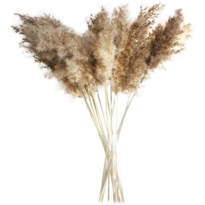 PLANTE ARTIFICIELLE 30PCS Fleurs Séchées Naturelles Fleur de Pampa Herbe de Pampa Séchée Roseaux S&e582