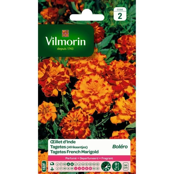VILMORIN Sachet graines de fleurs Œillet d'Inde BOLERO