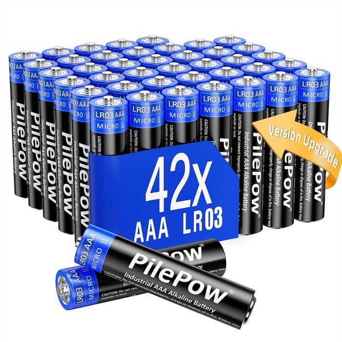 Lot De 42, Piles Aaa Alcalines, Lr03 1.5V, [Version Upgrade] Piles ...
