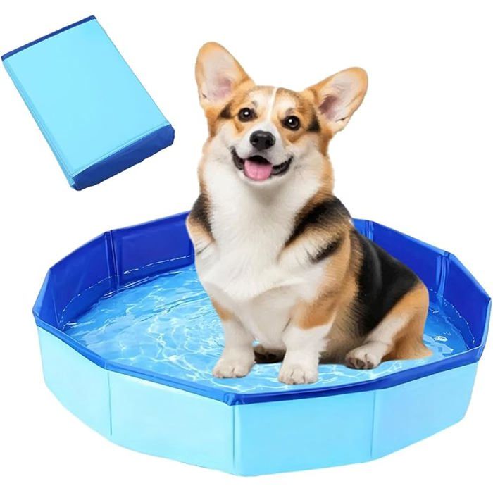 Piscine pour Chien Pataugeoire Piscine Pliable pour Chien et Chat Baignoire pour Chat Pataugeoire pour Petit Dog50 x 10 cm