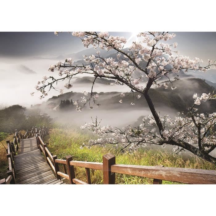 Téléchargement gratuit Images Papier Peint Photo Intisse 12022v8t Escaliers En Montagne actualisé par