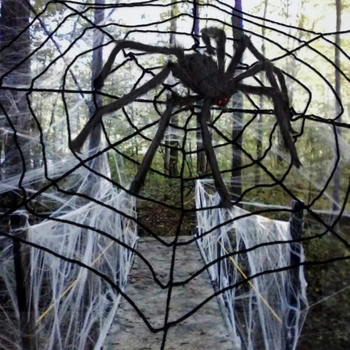 50 Araignées Halloween En Plastique Réalistes – Jambes Flexibles, Noir Mat – Déco Intérieur Extérieur, Maison Hantée Ou Toiles D’Araignée