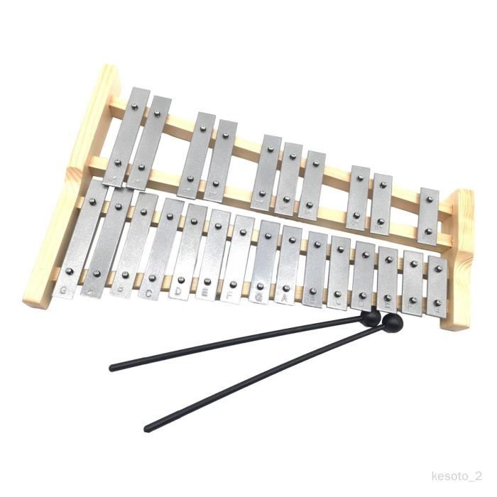 Glockenspiel 25 notes pour enfants et adultes, cadre en bois, cadeaux,  Xylophone en aluminium - Cdiscount Instruments de musique