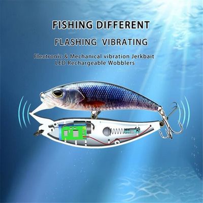 Appât De Pêche, Leurre De Pêche Rechargeable USB Vibration Faux Appât  Bionique Crochet De Pêche électrique